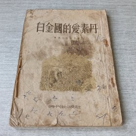 白金国的爱素丹