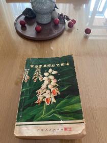 常用中草药彩色图谱 第三册