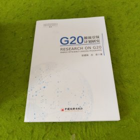 G20能效引领计划研究