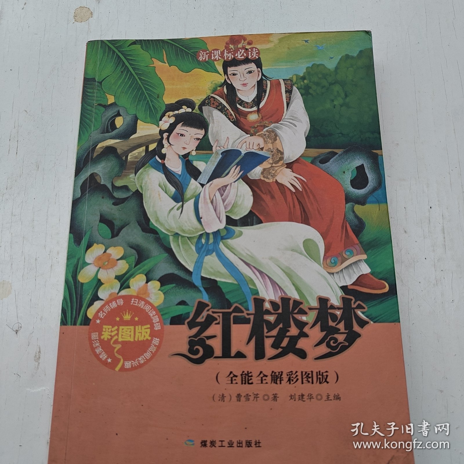 红楼梦 : 全能全解彩图版