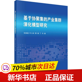 基于协聚集的产业集群演化模型研究