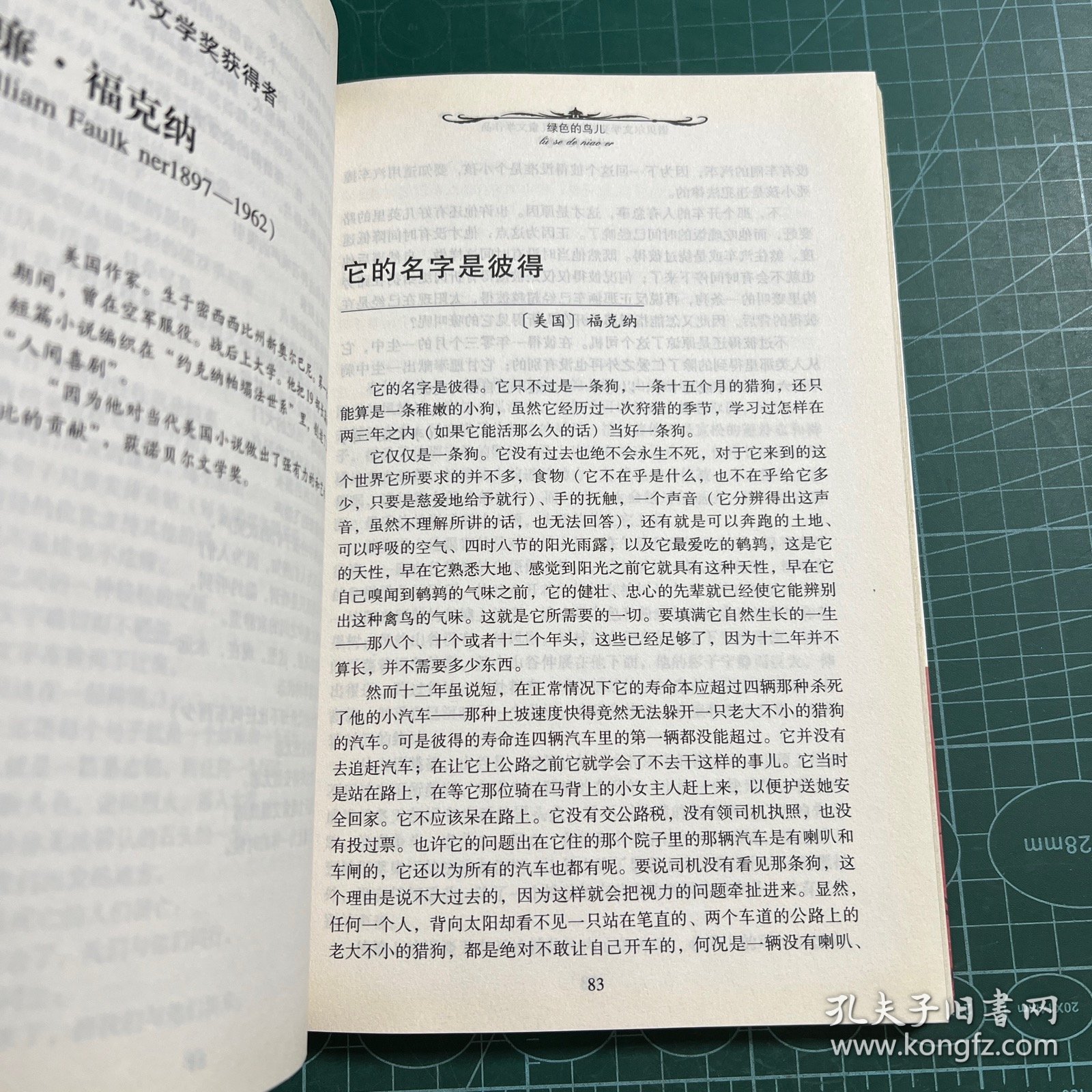 绿色的鸟儿：诺贝尔文学奖获奖作家儿童文学作品--诗歌散文卷