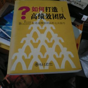 如何打造高绩效团队：打造高绩效团队的七大技巧（小16开210）