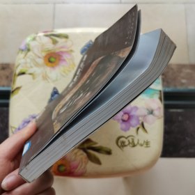 安第斯之谜：寻找黄金国