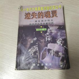 迷失的魂灵--湖北荆沙特大抢劫团伙案侦破纪实