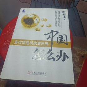 中国怎么办：当次货危机改变世界