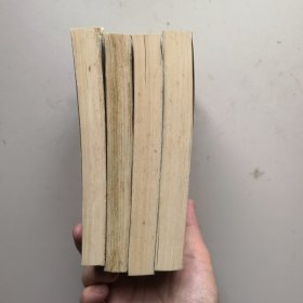 玉娇龙（第1一4卷全套）