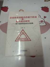 企业技术创新动态能力形成与提升路径研究——基于创新网络演化的视角