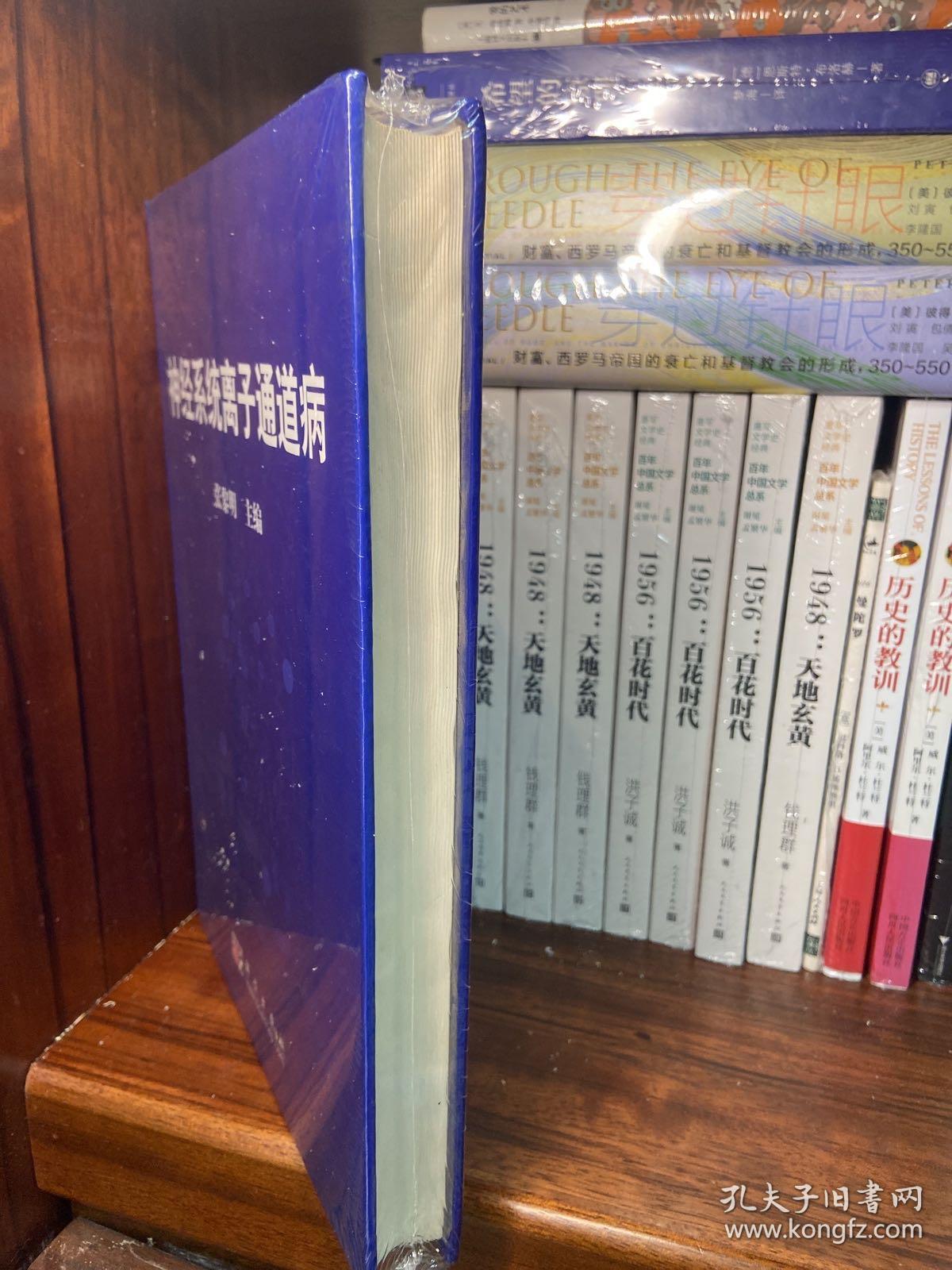 神经系统离子通道病