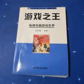 游戏之王：纵横电脑游戏世界