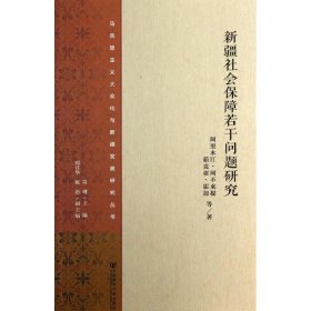 新疆社会保障若干问题研究