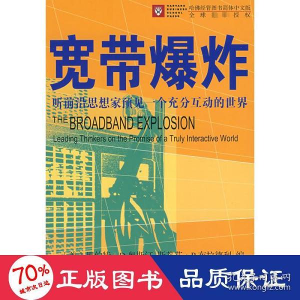 宽带爆炸：听前沿思想家预见一个充分互动的世界