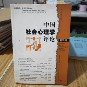 中国社会心理学评论（第3辑）A3