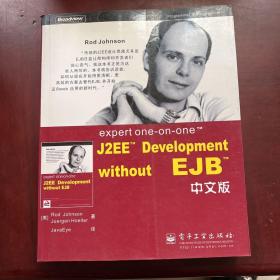 expert one-on-one J2EE Development without EJB 中文版