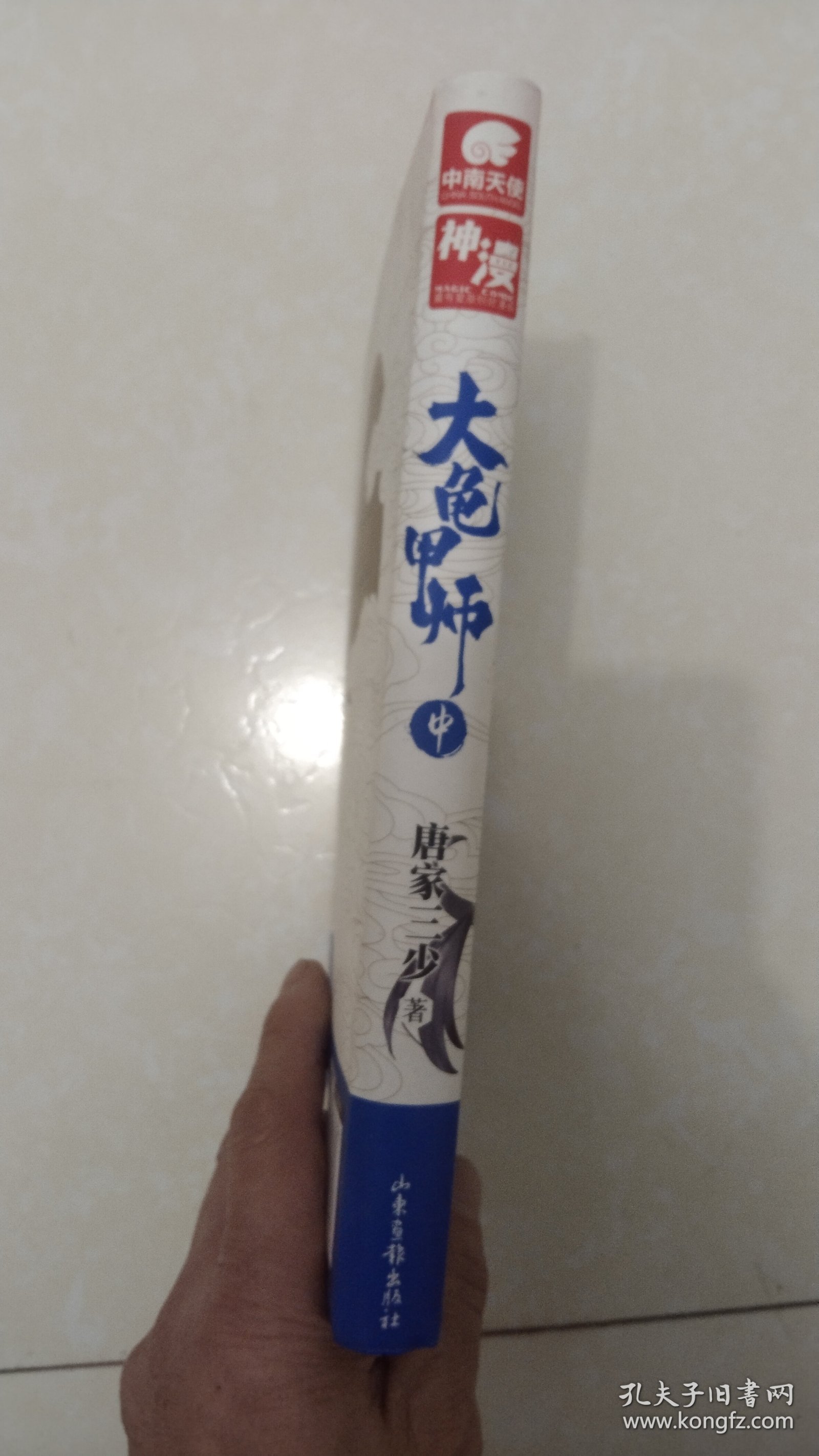 大龟甲师（中）