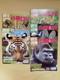 【5册共6期】《 野生动物画报 》2010年（上半年全）