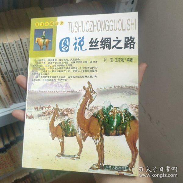 图说中国历史：图说丝绸之路