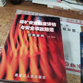 煤矿安全程度评估与安全事故防范实务全书 有黄斑 无版权页