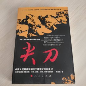 中国人民解放军钢铁部队传奇·尖刀：中国人民解放军钢铁王牌军征战实录2