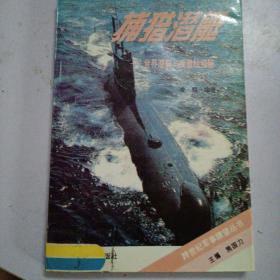 捕猎潜艇:世界潜艇与反潜战揭秘