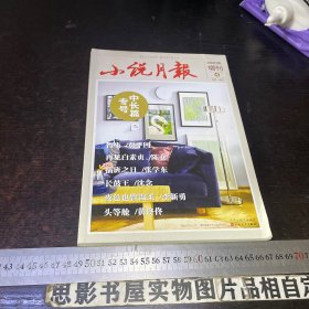 小说月报 2020年增刊 4 中长篇专号