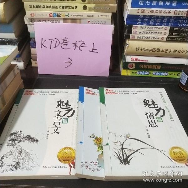 魅力情思 （探究经典魅力 品悟美文意趣 北大中文教授 名师特级教师力荐）