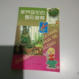 家养盆花的整形修剪