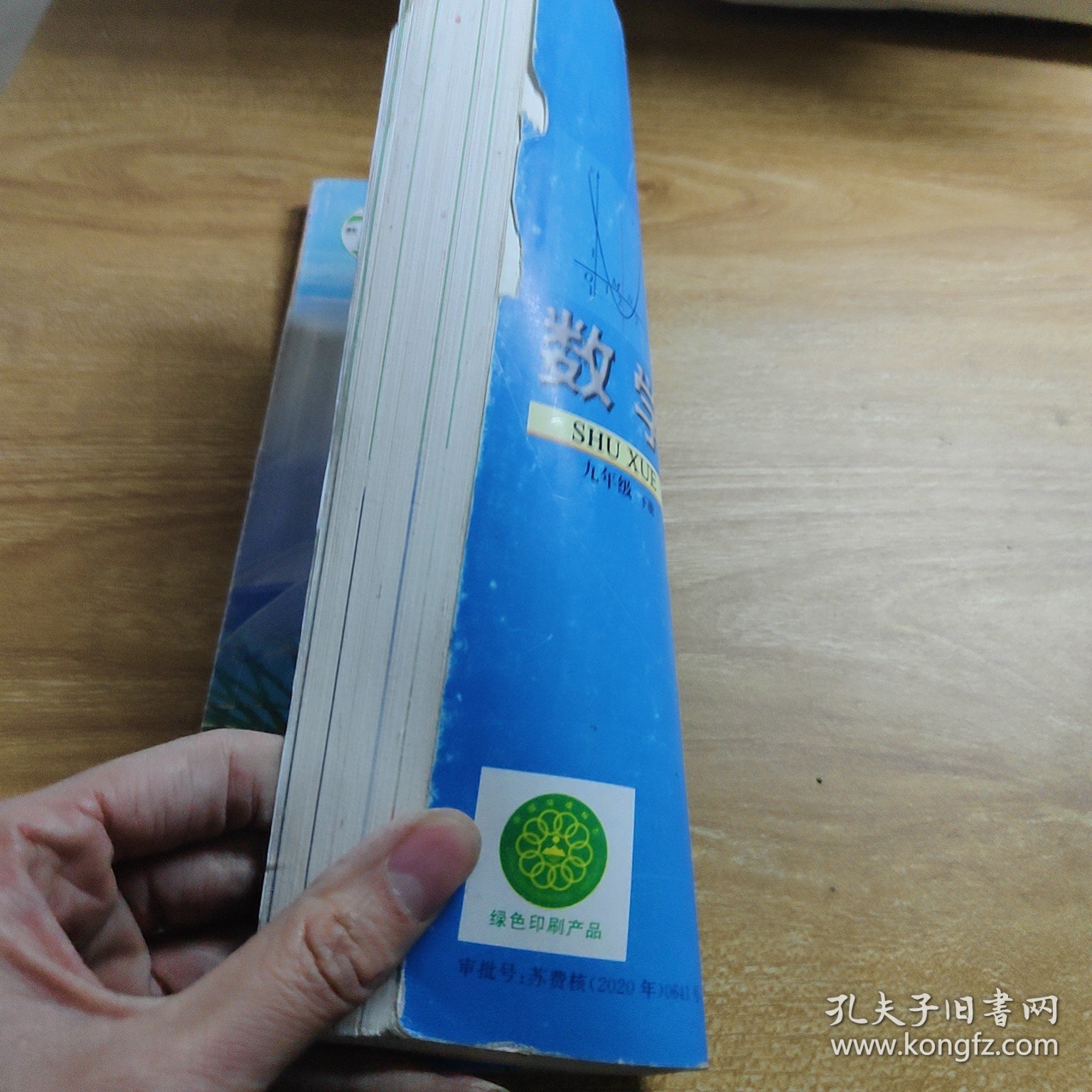 数学. 九年级. 下册