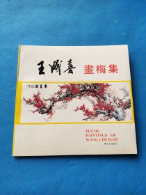 王成喜画梅集【书内干净】