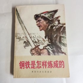 《钢铁是怎样炼成的》80年代人民文学出版社出版，85品，