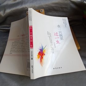 中国新实力作家精选-在一只碗里过一生