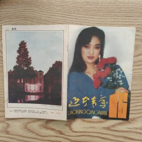 辽宁青年半月刊（1993.16）