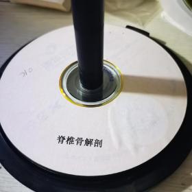 脊椎骨解剖VCD