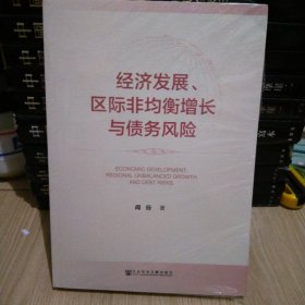 经济发展、区际非均衡增长与债务风险