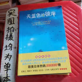 天蓝色的彼岸：关于生命和死亡最深刻的寓言