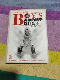 THE MINDS OF BOYS 男孩的脑子想什么