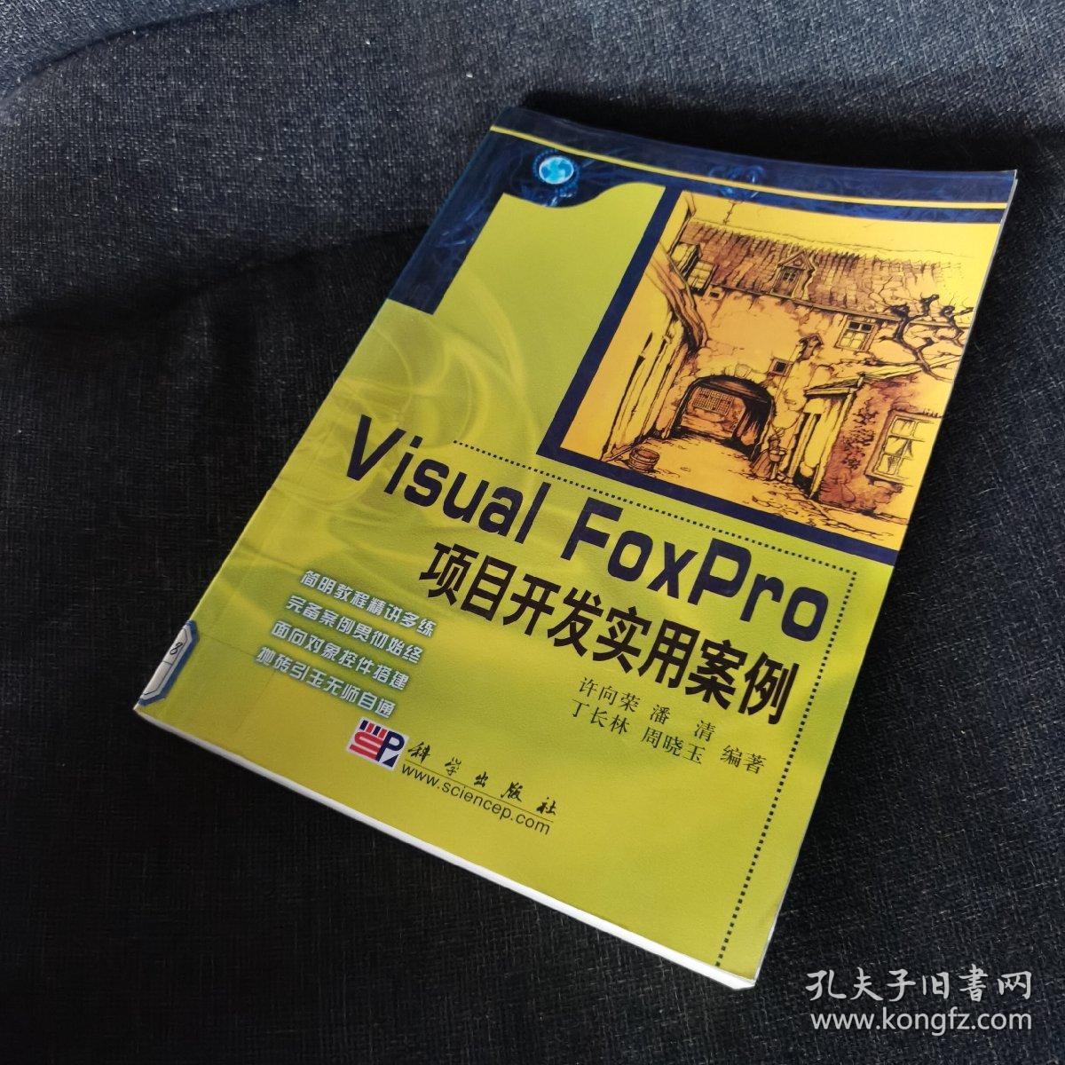 Visual FoxPro项目开发实用案例（正版实拍现货）