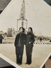 建国初期南京风景老照片玄武湖菊花展览(南京林业学院大学生参观合影)