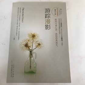 游踪漫影