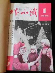 《世界知识》半月刊，1981年1-24期合订