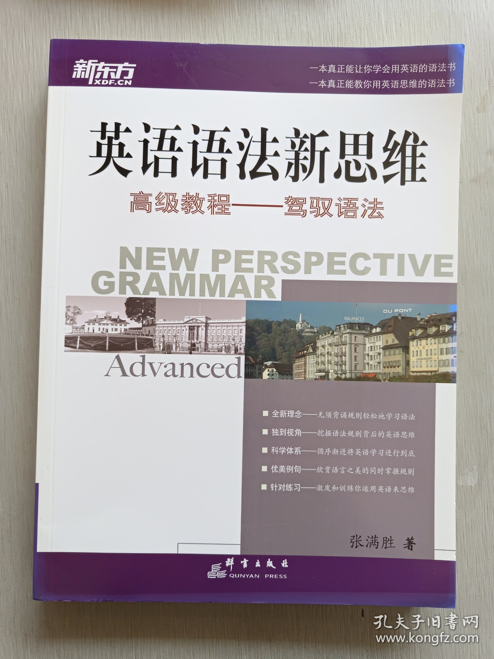 英语语法新思维高级教程：驾驭语法