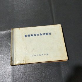 黄渤海習见鱼类圖说