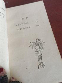 醉杏楼下山河泪