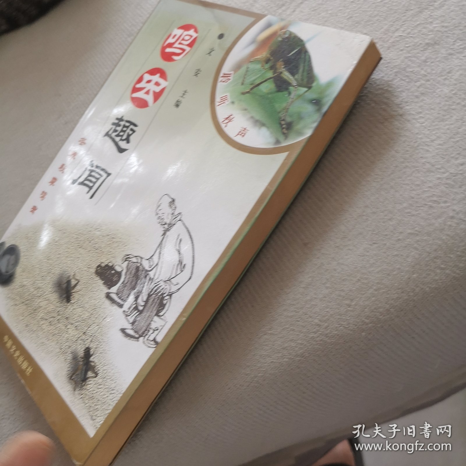 鸣虫趣闻:冬养秋季鸣虫