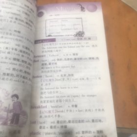 单词记忆魔咒（高中版）内页干净
