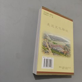 走近文化聊城