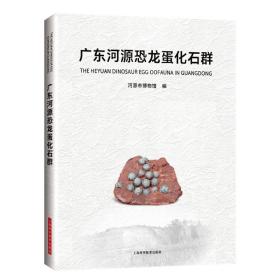 广东河源恐龙蛋化石群