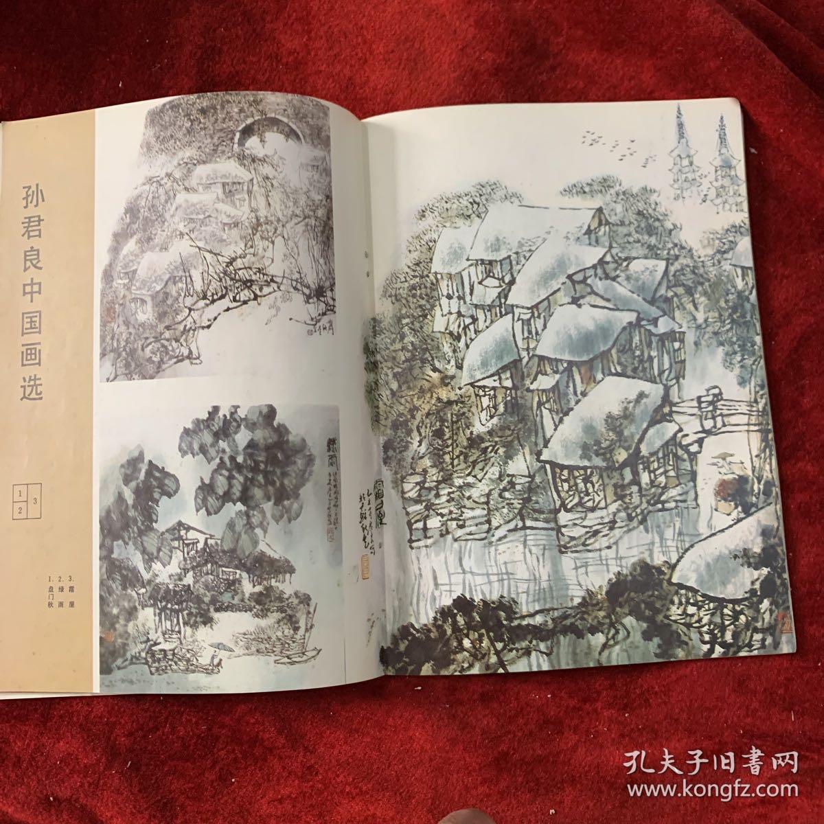 《江苏》画刊：当代中国花鸟画邀请展作品选：
王明明 金鉴才  赵梅生  米春茂  郑岩  黄格胜  韩文来  祝焘  房世均  江虹  黄耿新
姑苏画家—孙君良
孙君良中国画选