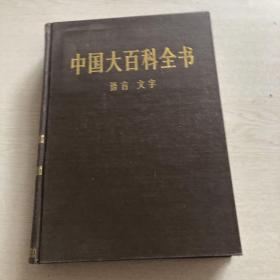 中国大百科全书语言文字卷