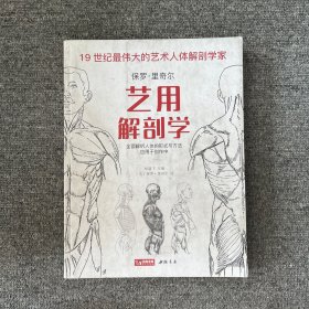 艺用解剖学